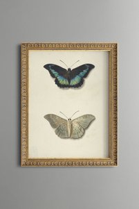 Related product image epiqart Paintings