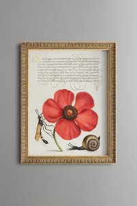Related product image epiqart Paintings