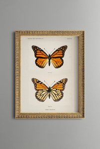 Related product image epiqart Paintings