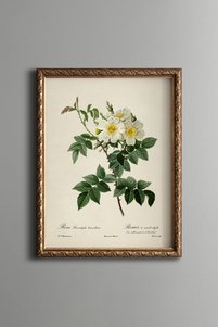 Related product image epiqart Paintings