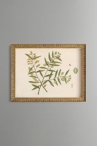 صورة المنتج ذات الصلة epiqart لوحات فنية