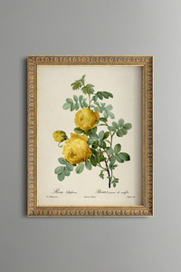 Related product image epiqart Paintings