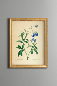 Related product image epiqart Paintings