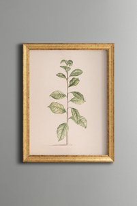 Related product image epiqart Paintings