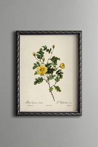 Related product image epiqart Paintings