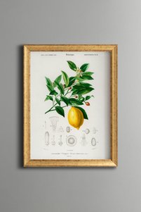 Related product image epiqart Paintings