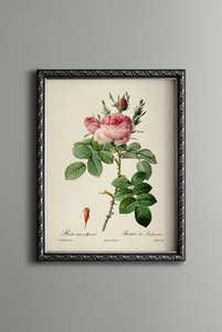 Related product image epiqart Paintings