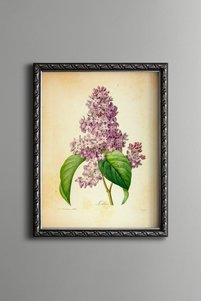Related product image epiqart Paintings