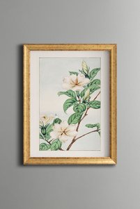 Related product image epiqart Paintings