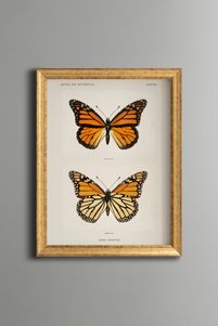 Related product image epiqart Paintings