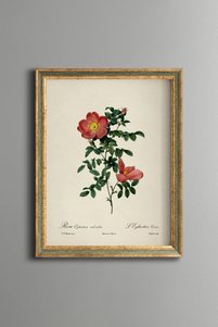 Related product image epiqart Paintings