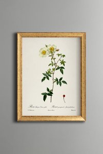 Related product image epiqart Paintings