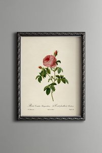Related product image epiqart Paintings