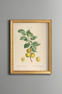Related product image epiqart Paintings