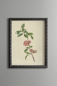 Related product image epiqart Paintings