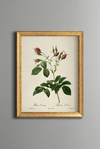 Related product image epiqart Paintings