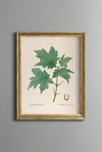 صورة المنتج ذات الصلة epiqart لوحات فنية