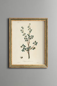 Related product image epiqart Paintings