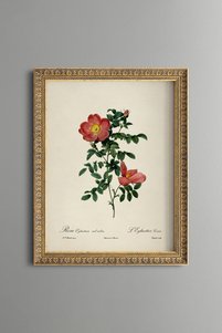 Related product image epiqart Paintings