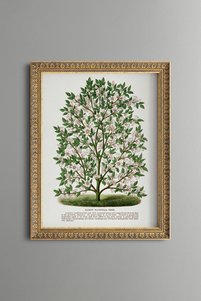Related product image epiqart Paintings