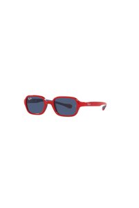 Related product image Ray-Ban Sunglasses