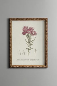 Related product image epiqart Paintings
