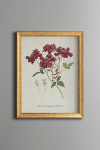 Related product image epiqart Paintings