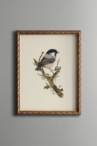 Related product image epiqart Paintings