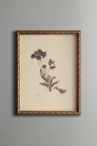 Related product image epiqart Paintings