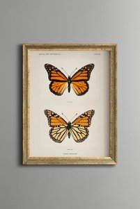 Related product image epiqart Paintings