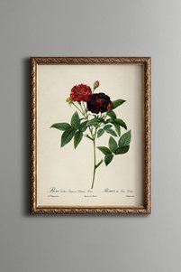 Related product image epiqart Paintings