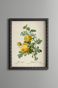 Related product image epiqart Paintings