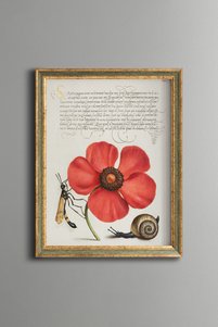Related product image epiqart Paintings