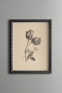 Related product image epiqart Paintings