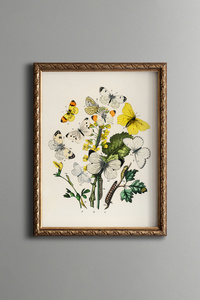 Related product image epiqart Paintings