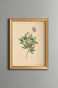 Related product image epiqart Paintings