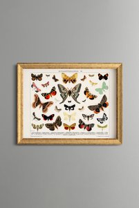 Related product image epiqart Paintings