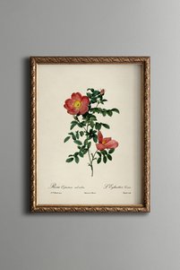Related product image epiqart Paintings