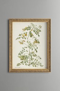 Related product image epiqart Paintings