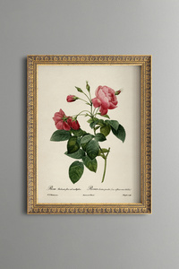 Related product image epiqart Paintings