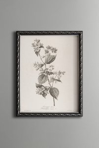 Related product image epiqart Paintings