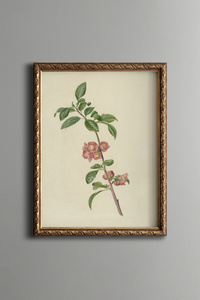 Related product image epiqart Paintings