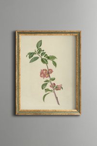 Related product image epiqart Paintings