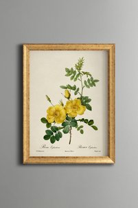 Related product image epiqart Paintings