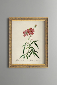Related product image epiqart Paintings