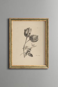 Related product image epiqart Paintings