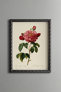 Related product image epiqart Paintings