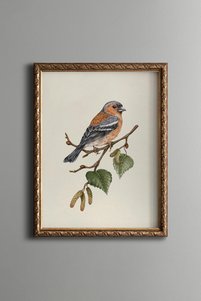 Related product image epiqart Paintings