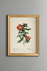 Related product image epiqart Paintings