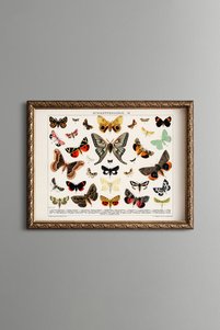 Related product image epiqart Paintings